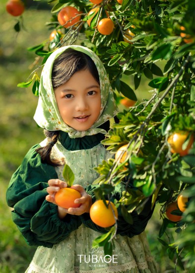 K-712柠檬与柑橘