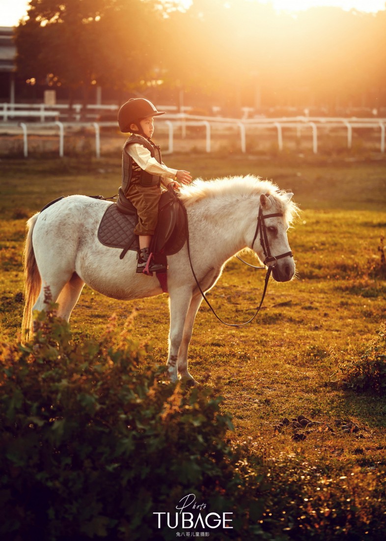 定制-《马术》系列